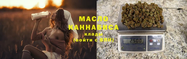 трава Ельня