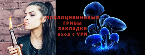 трава Ельня