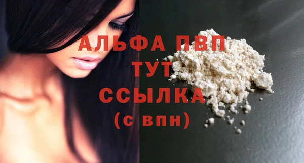 трава Ельня