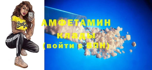 трава Ельня