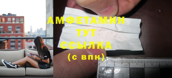 трава Ельня