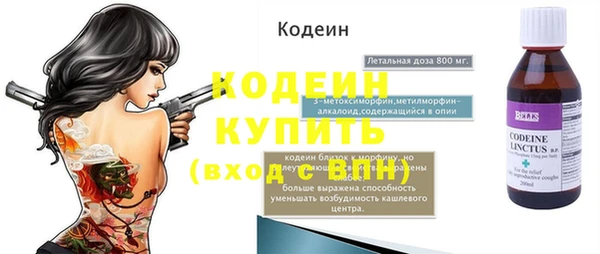 трава Ельня