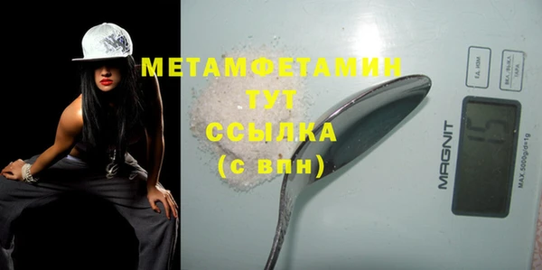 трава Ельня