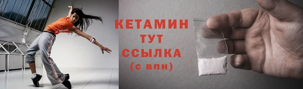 трава Ельня