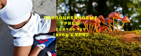 трава Ельня