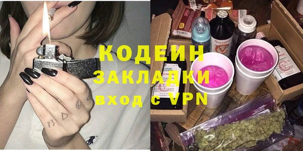 трава Ельня