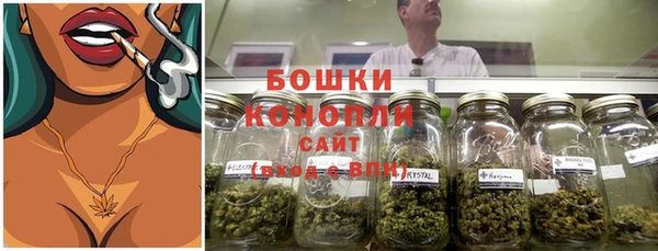 трава Ельня