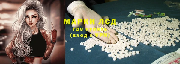 молекула духа Магадан