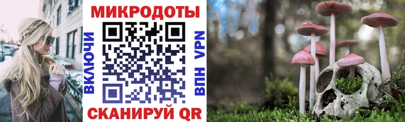 Псилоцибиновые грибы мицелий  закладка  Заринск 