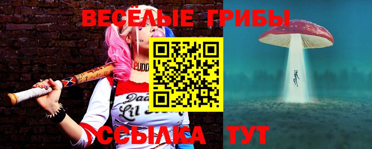 Заринск  Галлюциногенные грибы прущие грибы  Галлюциногенные грибы ЛСД  Вход с VPN 