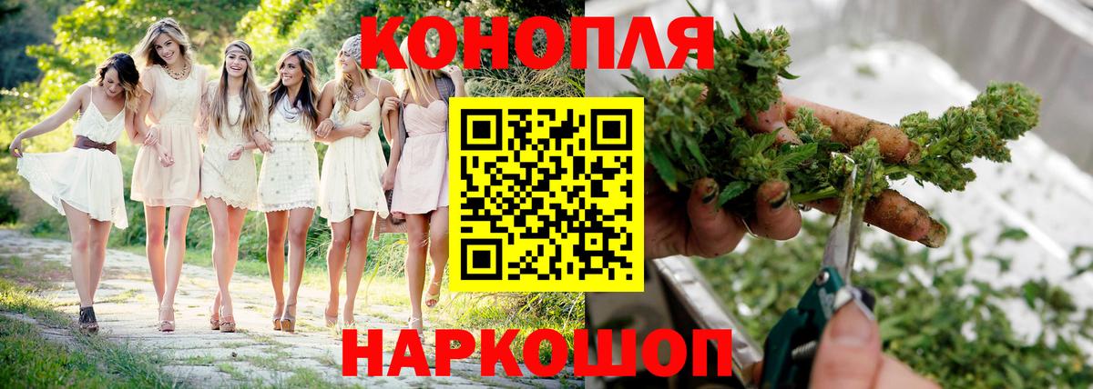 Каннабис сатива Заринск